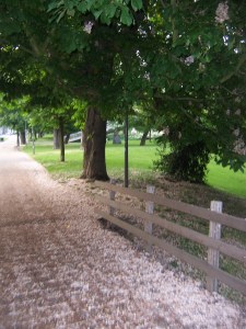 Maastricht, Netherlands Maastricht, Netherlands