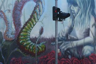 11146541_10103886730842081_1304087624394757250_n